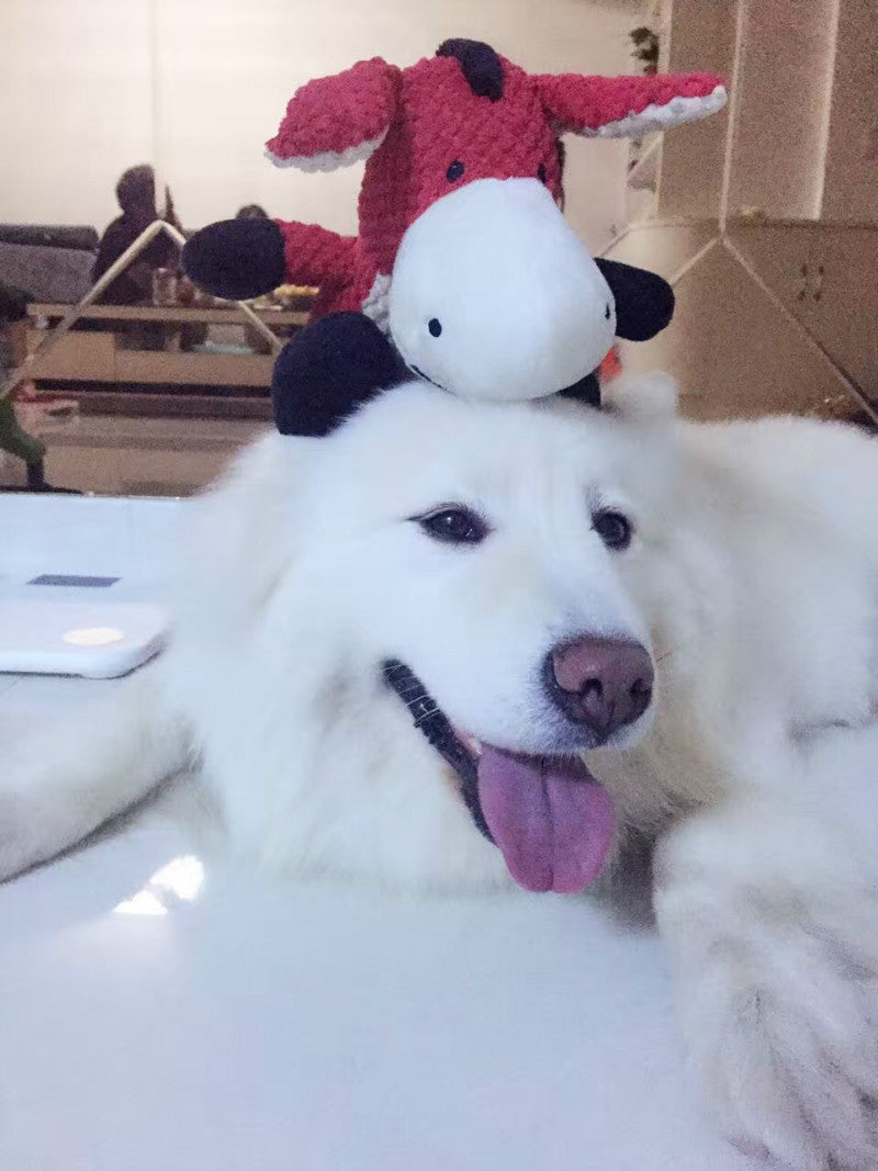 Soft Animal Plush Toys – Elephant, Monkey, Donkey & Horse | Cute Kids Gift